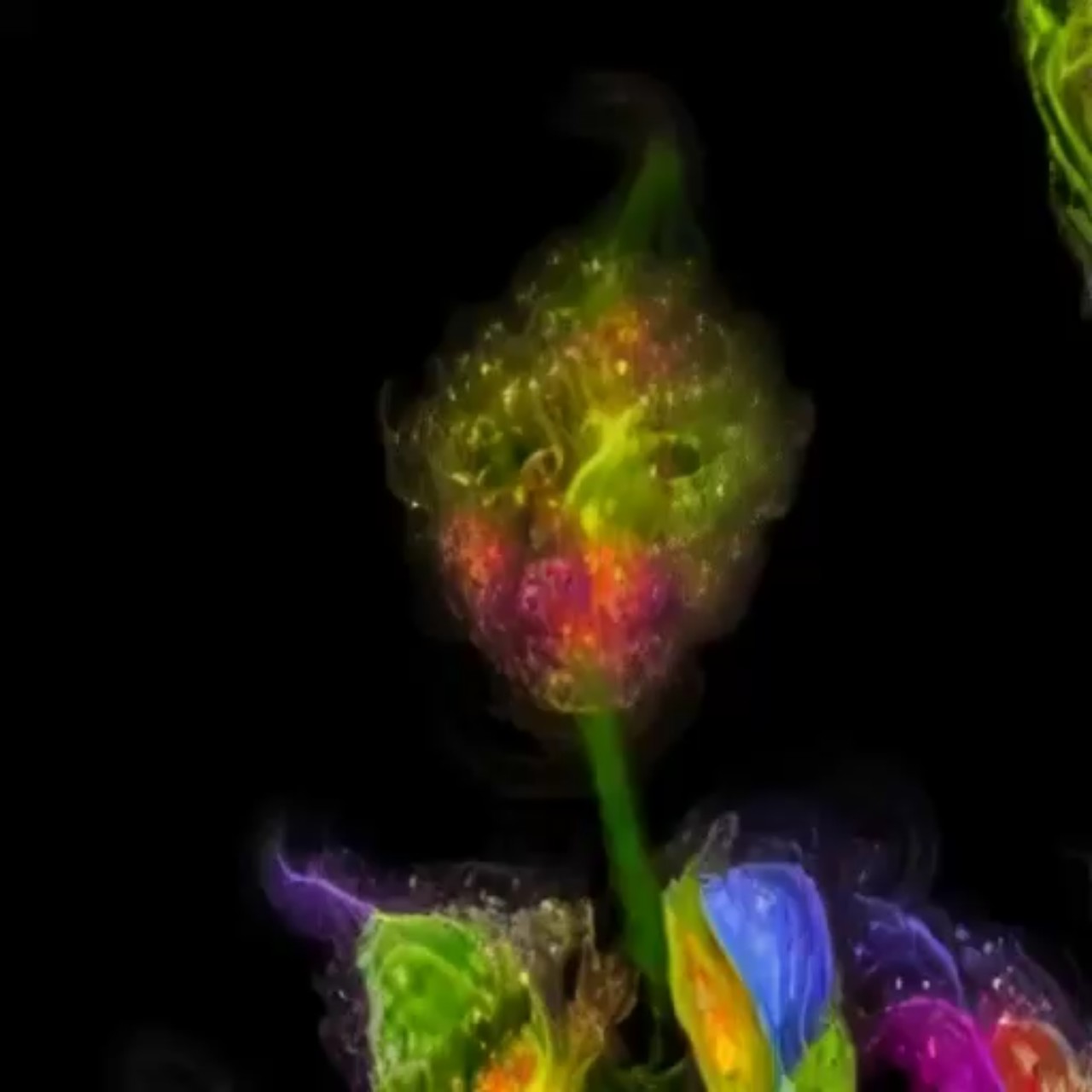 FLOWER MAN \ SDXL PROJECT